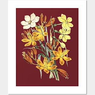 Yellow Flowers Posters and Art